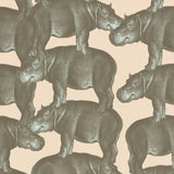 Tapetprov | Hippo rosa