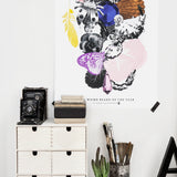 The Weird Beard of the Year poster