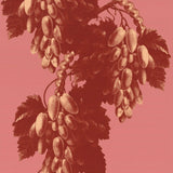 Tapetprov Pink pearl
