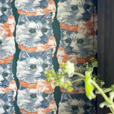 Tapet | Crazy Cat Lady