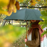 Paraply kool kermit | trähandtag