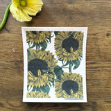 Disktrasa | vår 3-pack